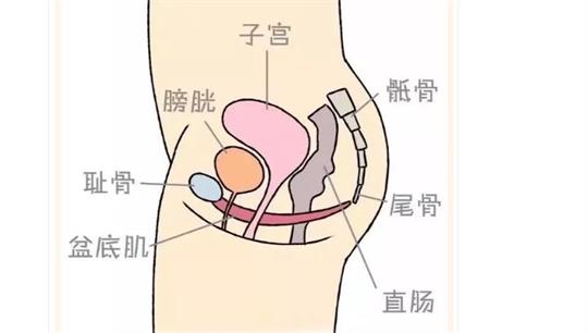 通澤便攜產(chǎn)后康復(fù)治療儀，促進(jìn)產(chǎn)后快速恢復(fù)