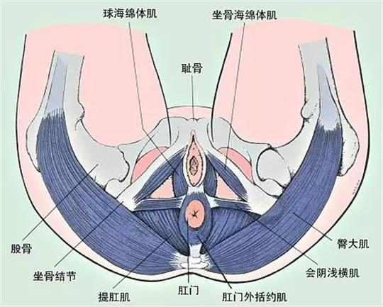 產(chǎn)康門店創(chuàng)業(yè)，開展什么產(chǎn)康項目合適呢？