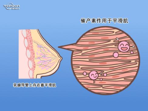  盆底康復儀器對剖宮產(chǎn)的寶媽發(fā)生哺乳和子宮復舊問題有幫助