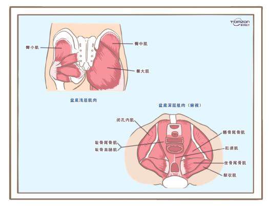 盆底康復(fù)治療儀可以緩解絕經(jīng)后出現(xiàn)的癥狀嗎？