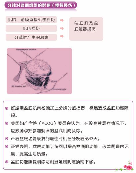 盆底肌康復(fù)治療