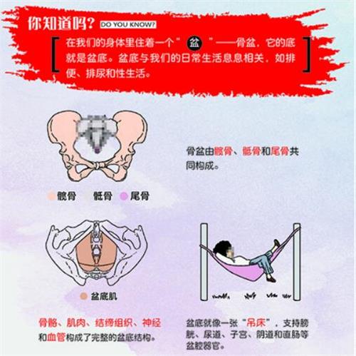 產(chǎn)后盆底肌修復(fù)